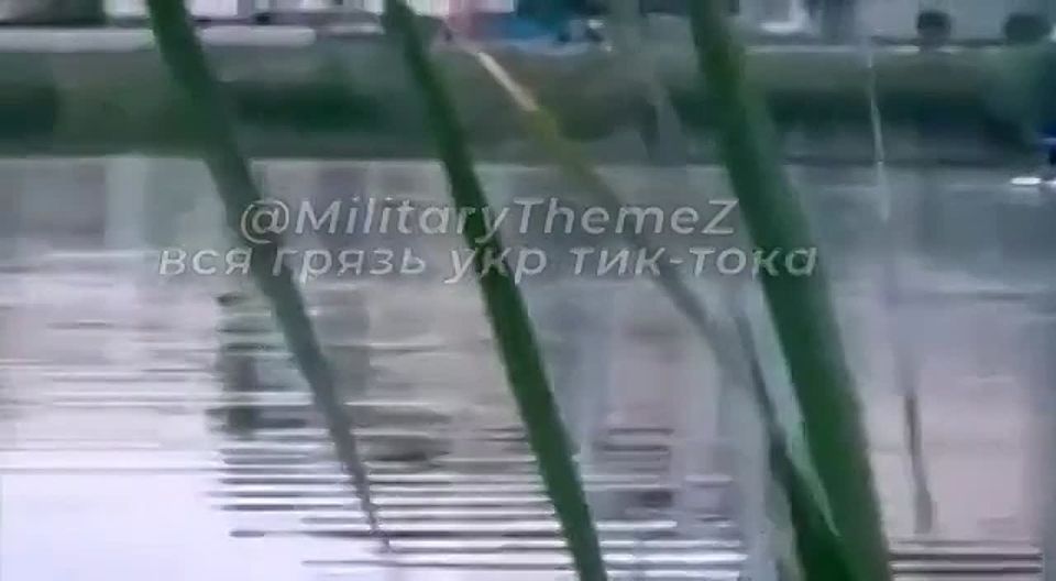 .    ,       