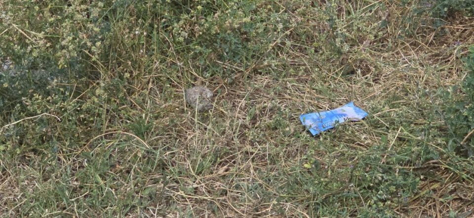 Мирное население Херсона продолжает страдать от рук боевиков ВСУ Мирное население Херсона продолжает страдать от рук боевиков ВСУ