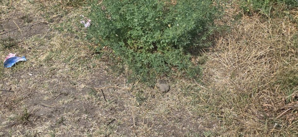 Мирное население Херсона продолжает страдать от рук боевиков ВСУ Мирное население Херсона продолжает страдать от рук боевиков ВСУ