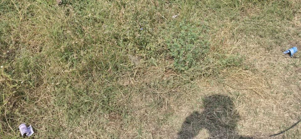 Мирное население Херсона продолжает страдать от рук боевиков ВСУ Мирное население Херсона продолжает страдать от рук боевиков ВСУ