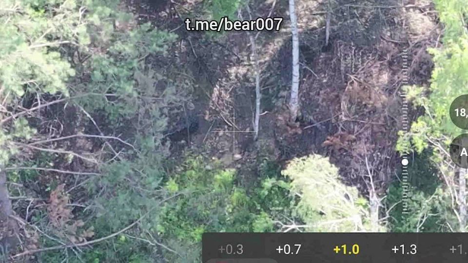 Расчёты Отряда "Анвар" уничтожают украинских боевиков в приграничье Сумской, Черниговской и Харьковской областей