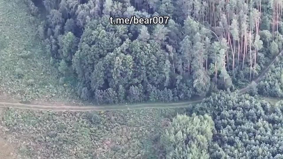 Зачистка приграничья. Уничтожение ВСУшников в Черниговской области