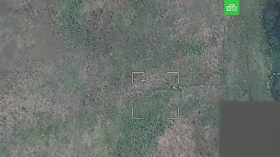 Группа спецназовцев ГУР ВСУ уничтожена в Черниговской области — Минобороны показало кадры удара беспилотниками «Герань-2» по противнику в районе села Жадово