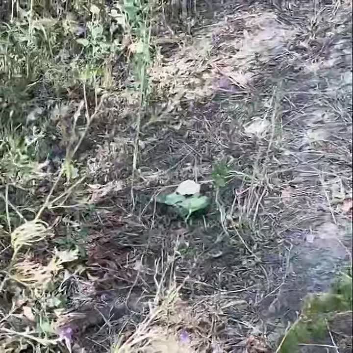 А как ещё бороться с ухилянтами?