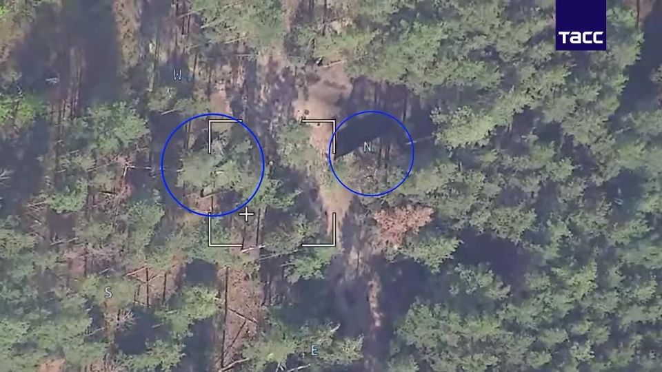 ВС РФ поразили место скопления ВСУ с применением ФАБ-500 в Черниговской области, сообщили в Минобороны России