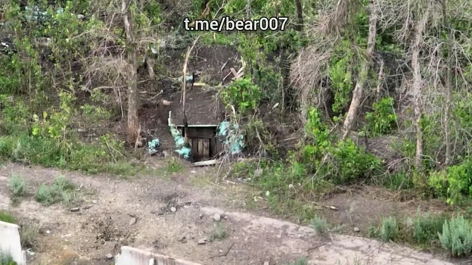 Кадры работы Отряда "Анвар":