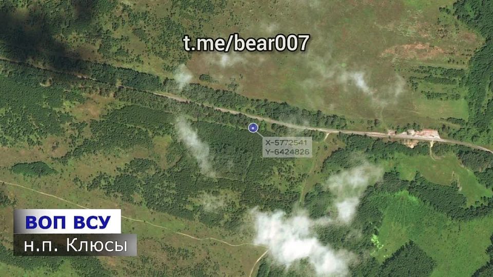 Отряд "Анвар" зачищает буферную зону Сумской и Черниговской областей от украинских боевиков: