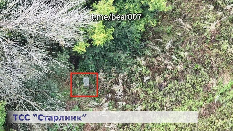 Отряд "Анвар" зачищает буферную зону Сумской и Черниговской областей от украинских боевиков: