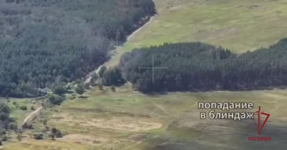 Кадры уничтожения позиций ВСУ в Черниговской области