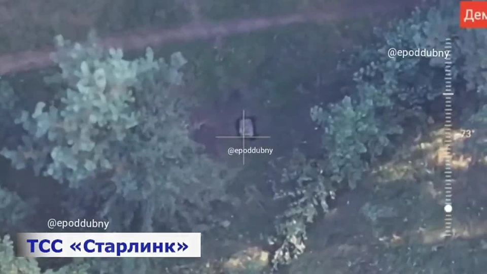 Евгений Поддубный: Рабочие будни отряда СпН "Анвар"