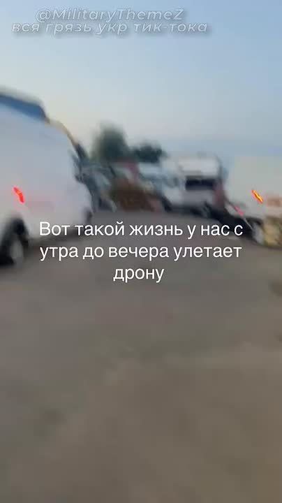 Недавние пролеты/прилеты БПЛА-камикадзе "Герань-2" в небе на Черниговской / Сумской областями глазами местных жителей