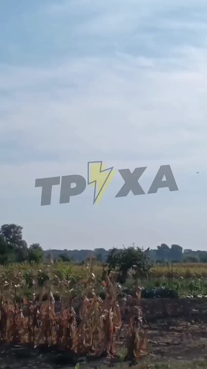 "Герани" гоняют в небе Черниговской области