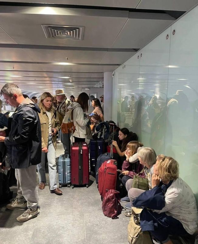 ВСУ устроили коллапс в Пулково: десятки рейсов отменены и задержаны