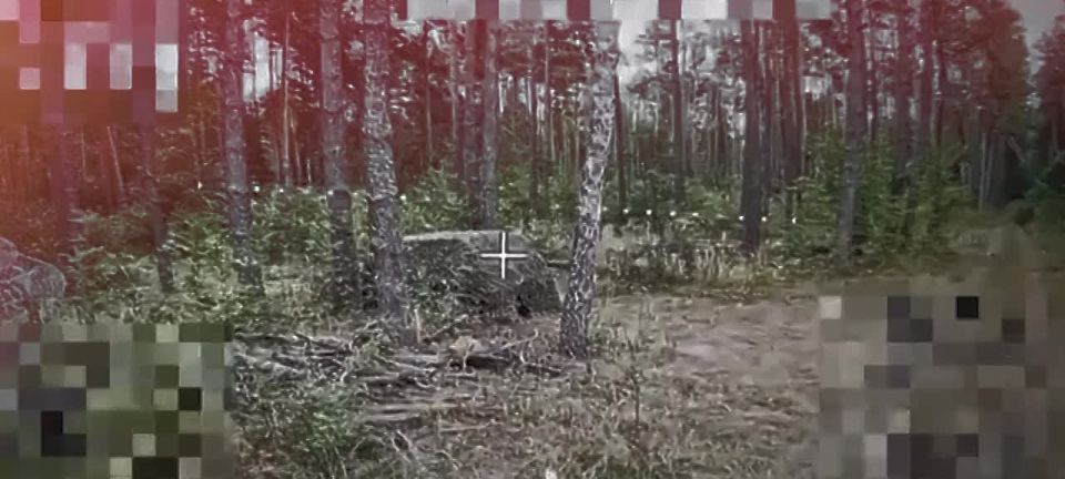 Противник безуспешно пытается прятать свой транспорт в лесопосадках Черниговской области, однако операторы FPV группировки "Север" оперативно вскрывают цели и наносят по ним огневое поражение