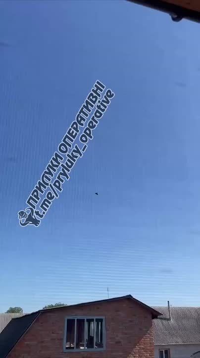 И обычные Гераньки в Нежине тоже летают