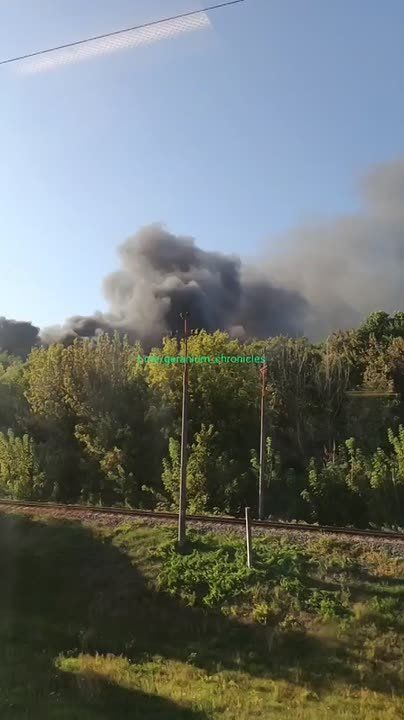 Юрий Котенок: Кадры из Нежина (Черниговская область)