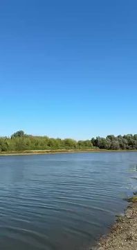 "Герань-3" с реактивным двигателем летит днем по своим делам где-то в Черниговской области