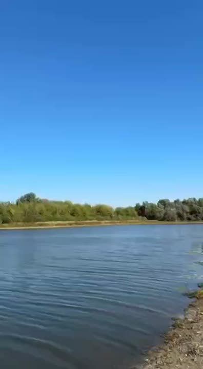 Реактивный БПЛА-камикадзе "Герань-3" в небе над Черниговской областью