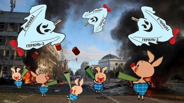 Российские дроны не дают спать украинским зенитчикам