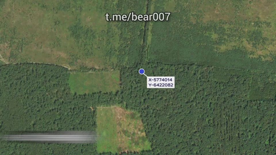 Отряд "Анвар" зачищает буферную зону Сумской и Черниговской областей от украинских боевиков: