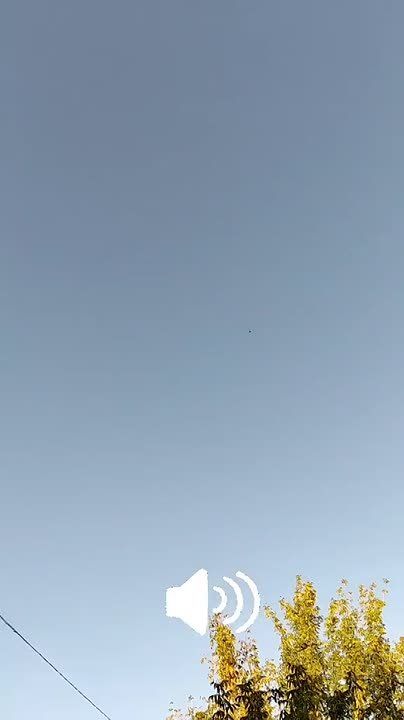 Чингис Дамбиев: Субботний день в Чернигове