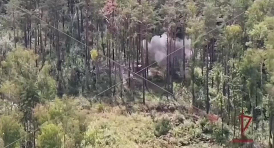 Сначала закидали зажигательными и осколочно-фугасными боеприпасами, а затем нанесли удары FPV-дронами: кадры уничтожения замаскированного опорного пункта ВСУ в Черниговской области