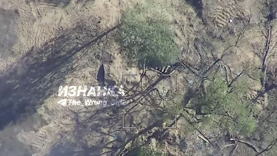   &quot;&quot;  &quot;-2&quot;               