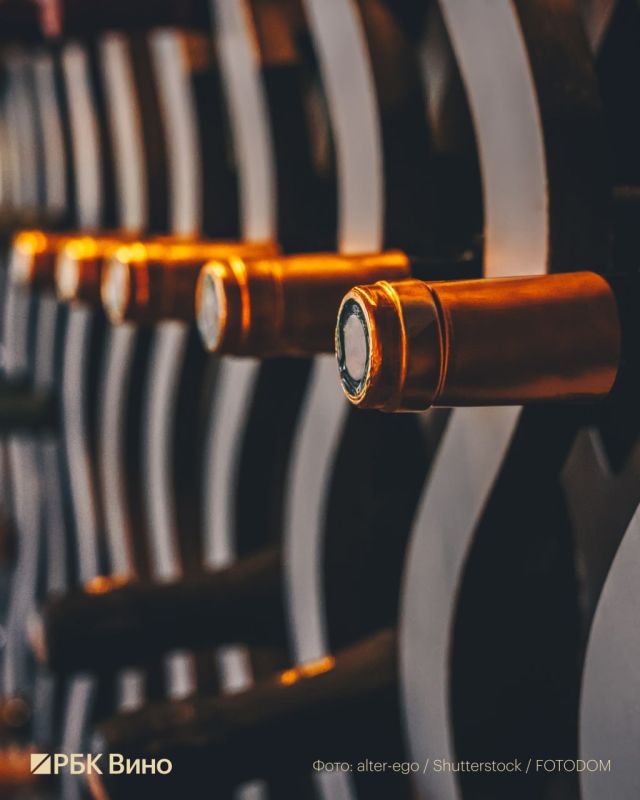 Какие вина подорожают в России с повышением акциза