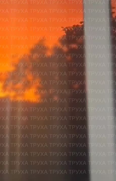 Кадры сильных пожаров в Прилуках Черниговской области