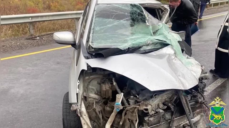 В Черниговском округе в ДТП погибла 40-летняя женщина