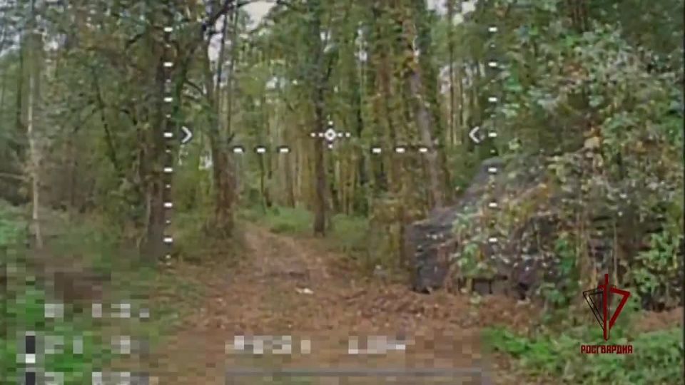 Росгвардейцы уничтожили БМП украинских боевиков на черниговском направлении