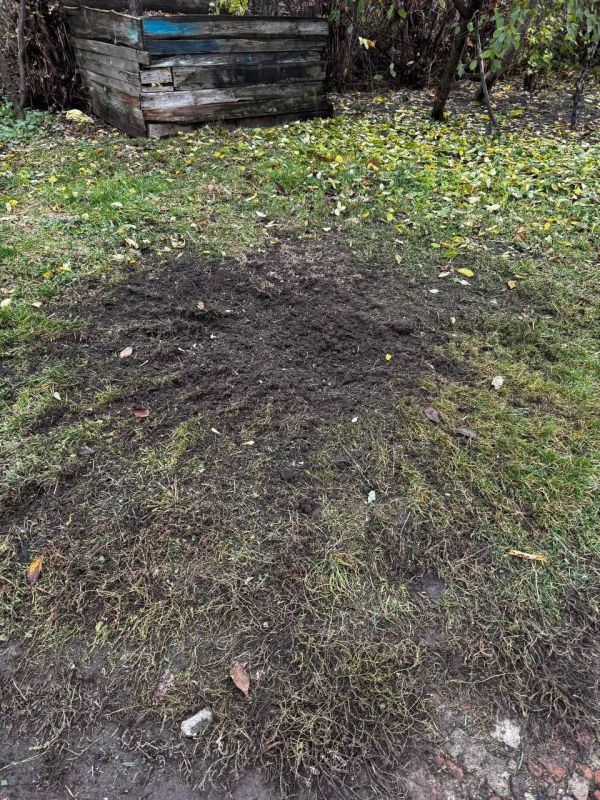  &quot;-2&quot;     -            &quot;-&quot;,   