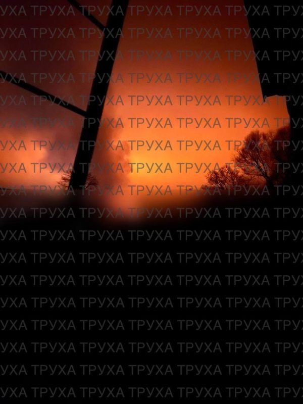 � ������������ ������� ����������� ����� ����� �������