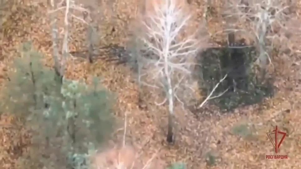 Спецназ Росгвардии уничтожил позиции украинских миномётов в Черниговской области