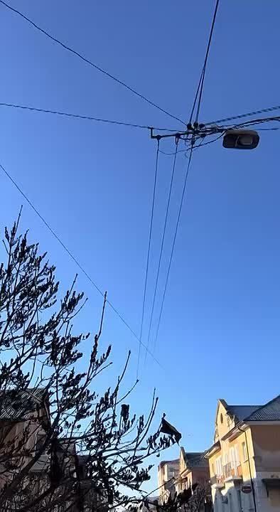 ���������� �������� �� ������� ��� �������������