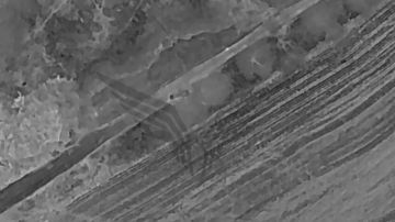 ������� �����������. � ���� �� 14 ������� 2025 ���� ������ �.�. ��������-��������� �������� Zala ������ ��������� ���� ���������� ��������� �������� ���������, ������� ���� �����