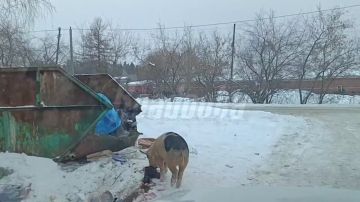 ������-������������� ��������� �� ������ ����� ��� ������� �� 2 ������ ��-�� ����������