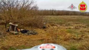 ���������� ������: �������������� 394-�� ��������������� ����� 127-� �������������� ������� ����������� ����� ������� � ���� �������� �������������� �������� ������������ �� 2,5 ��������� � ������� ������� ���������� ��...