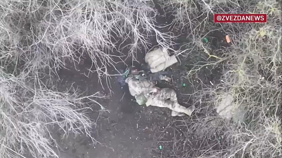 Взятие площади до 15 квадратных километров и расширение плацдарма на западном берегу реки Гайчур — Минобороны показало кадры освобождения Прилуков в Запорожской области