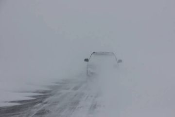 �� ����������� ������� ��������� ������� �������� ��������� �����������