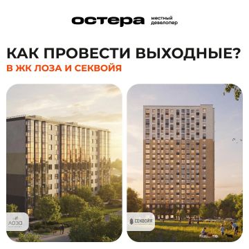 Выходные рядом с ЖК «Лоза» и «Секвойя»: идеи для отдыха