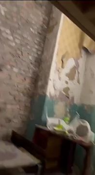 ��� � ������: ������� ���������� � ��� � �������� ������������ �������