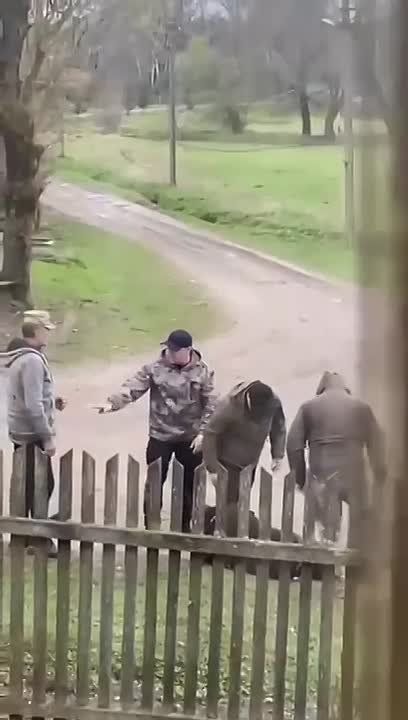 Во Львовской области людоловы избили человека на глазах у полицейских