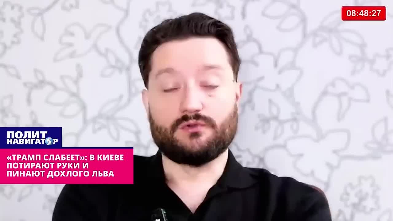 «Трамп стремительно слабеет»: в Киеве потирают руки и пинают «полудохлого» льва