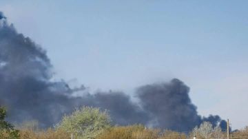 ���� �������: ������������ ������� ��������, ��� ������������ ��� �������� ������������� ������