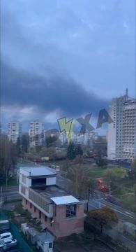 �������� �������� � ���� ����� ������ ������ �� ��������