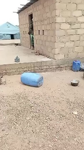 �� � �����������. ��� ������ ������ ����� ����