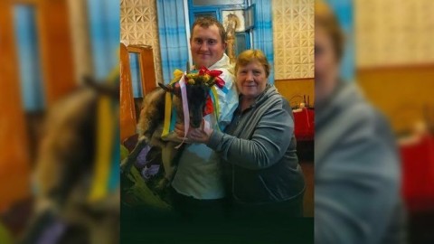 В Черниговской области устроили розыгрыш козы в обмен на пожертвования ВСУ