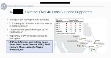 Американская разведка рассекретила данные о биолабораториях США на Украине!