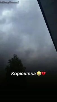 Момент поражения дроном камикадзе "Герань-2" объекта противника в н.п. Корюковка Черниговской области